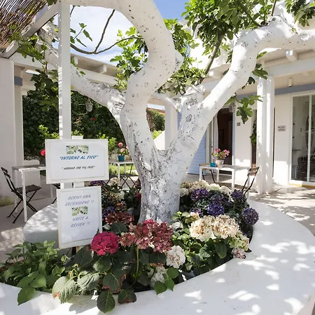 Intorno Al Fico 호텔