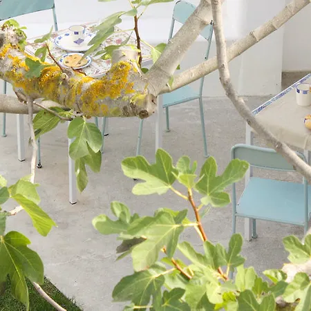 Hotel Intorno Al Fico