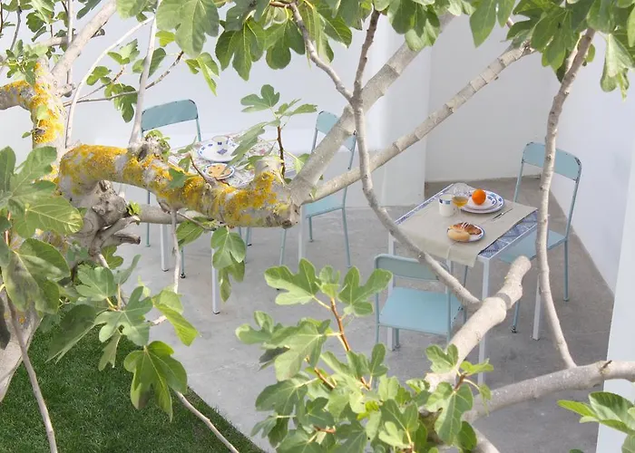 Intorno Al Fico 피우미치노