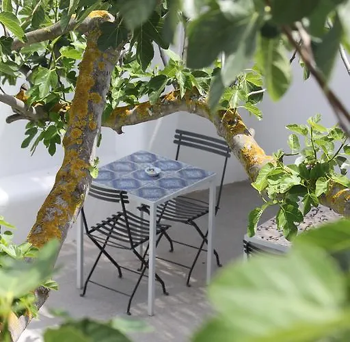 Intorno Al Fico 피우미치노