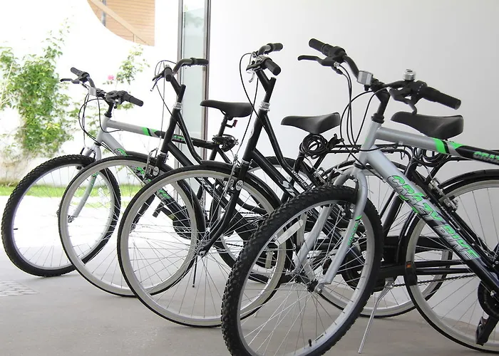 Intorno Al Fico 3* 피우미치노